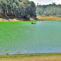Green Lake, Oozy
